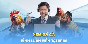 RR 88 – Đánh Giá Chi Tiết Về Nhà Cái Cá Cược Trực Tuyến