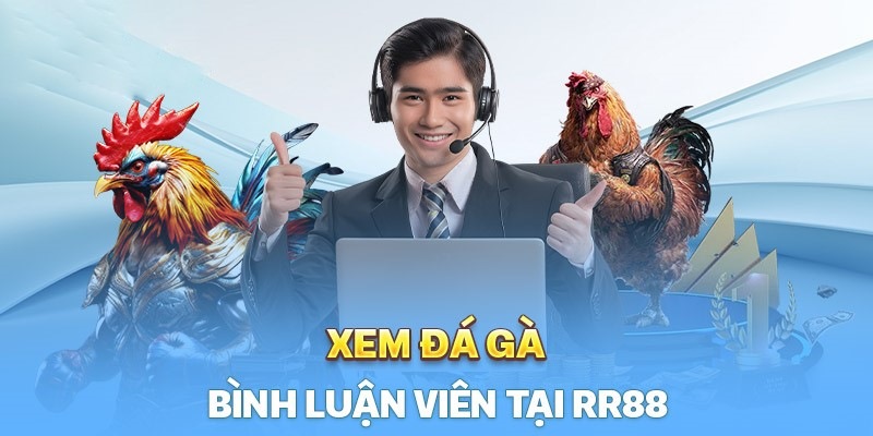 RR 88 – Đánh Giá Chi Tiết Về Nhà Cái Cá Cược Trực Tuyến